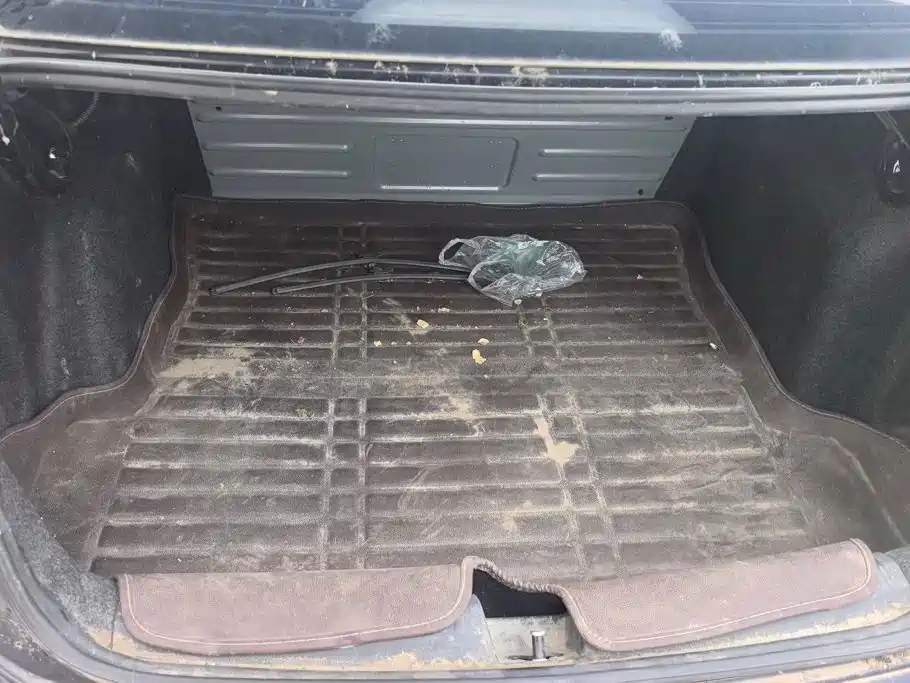 Volkswagen Santana 2019