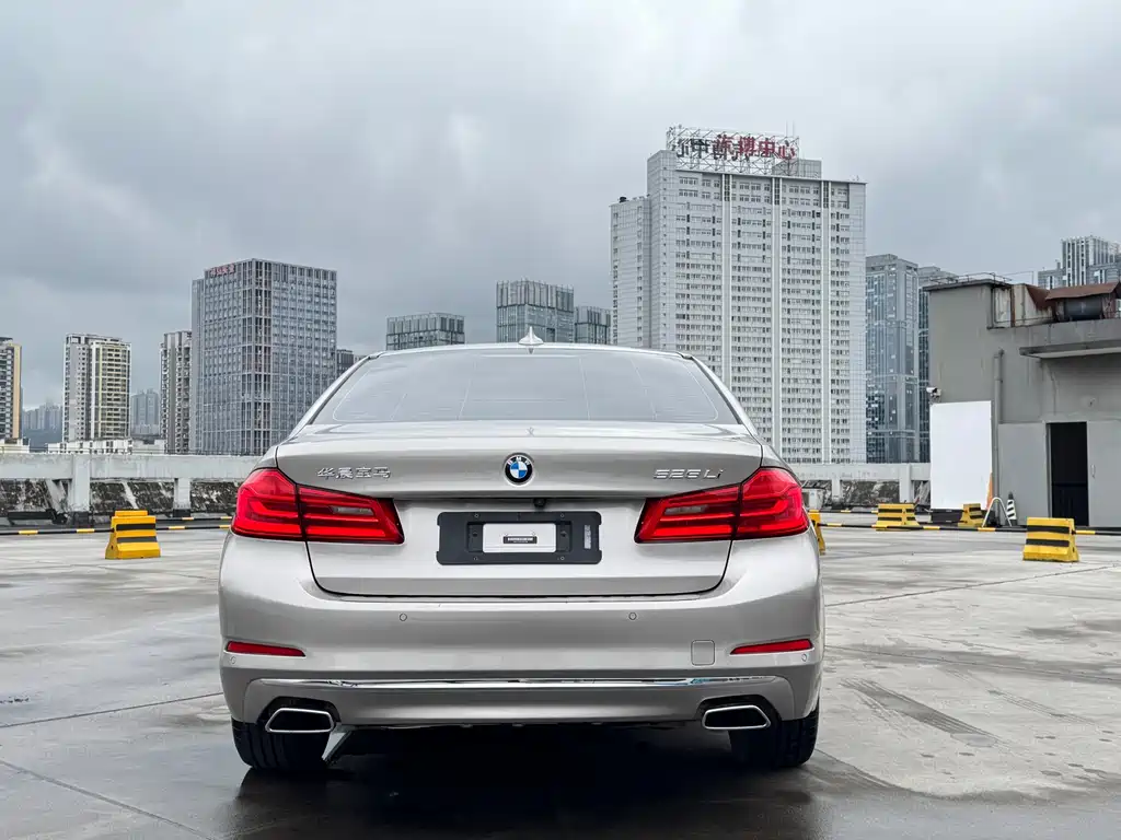BMW 5 Series 2020 — фото 15