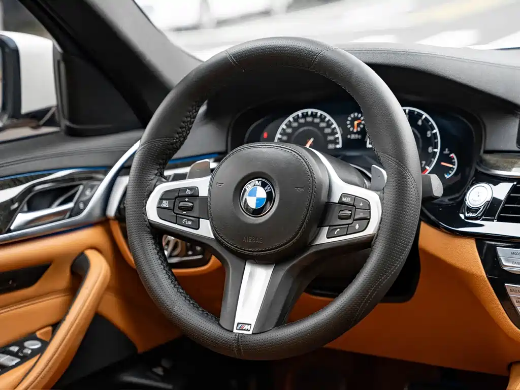 BMW 5 Series 2019 — фото 8