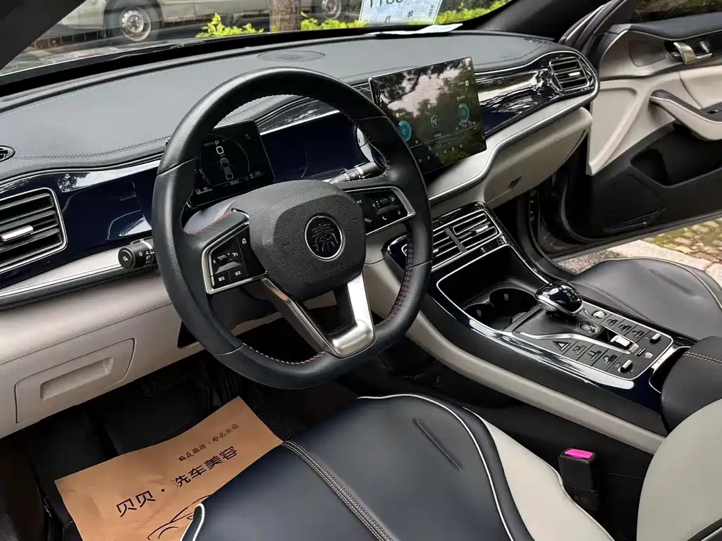 BYD Qin PLUS 2022 — фото 16