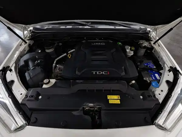 JMC Domain Tiger 7 2020