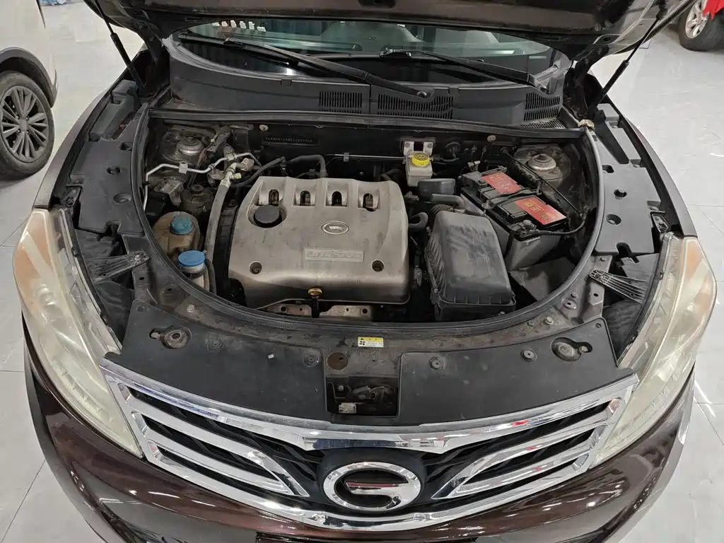 GAC Trumpchi GS5 2014 — фото 20
