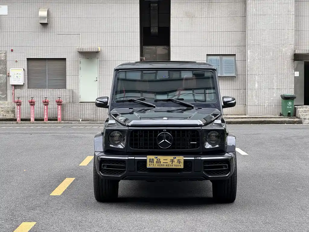 Mercedes-Benz G-Class AMG 2011 — фото 2
