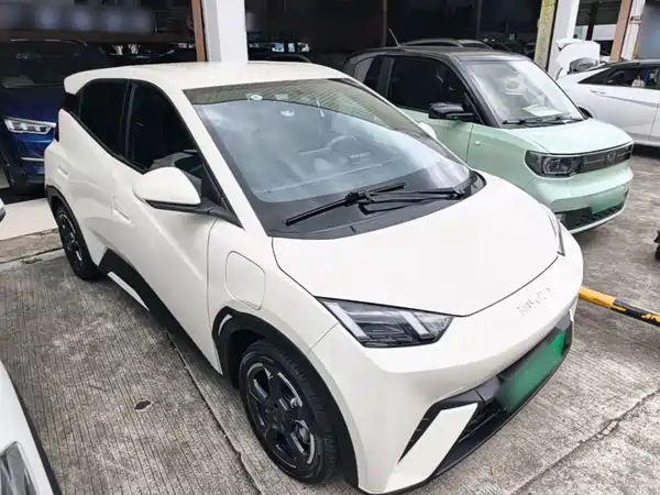 BYD Seagull 2024