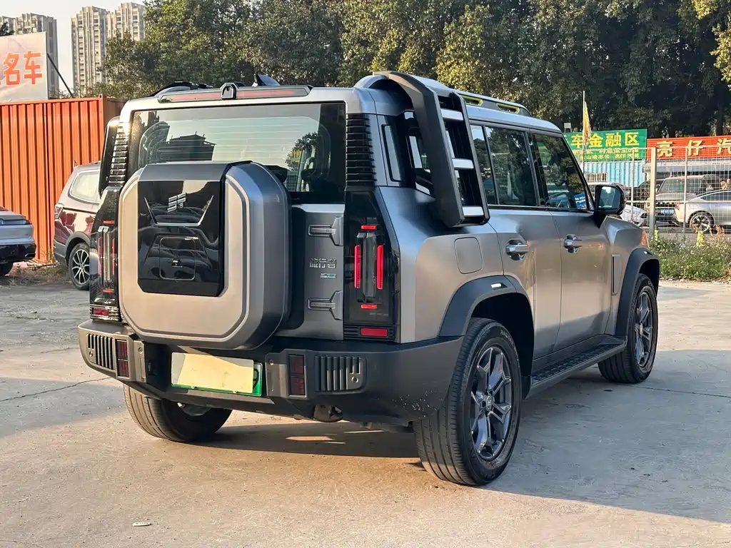 Shanhai Traveller C-DM 2024 — фото 17