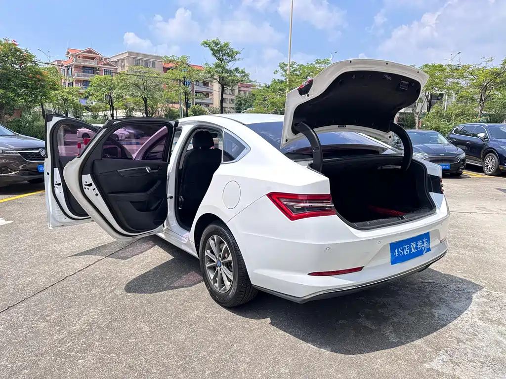 BYD Qin Pro New Energy 2019 — фото 21