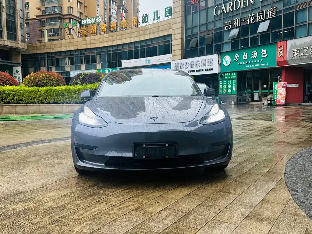 Tesla Model 3 2020 — фото 2