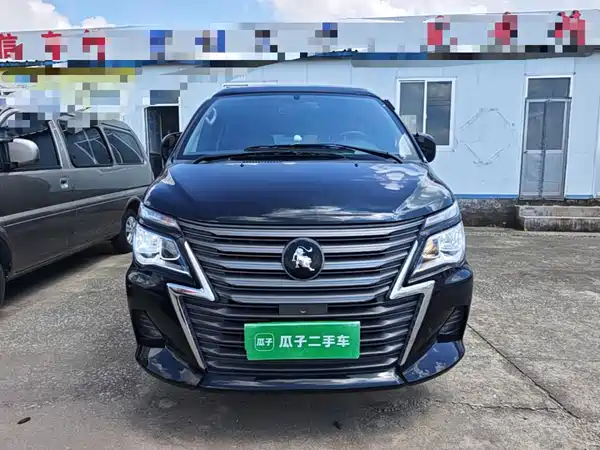 Dongfeng Lingzhi 2023