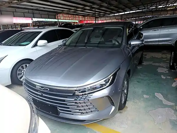 BYD Destroyer 05 2024