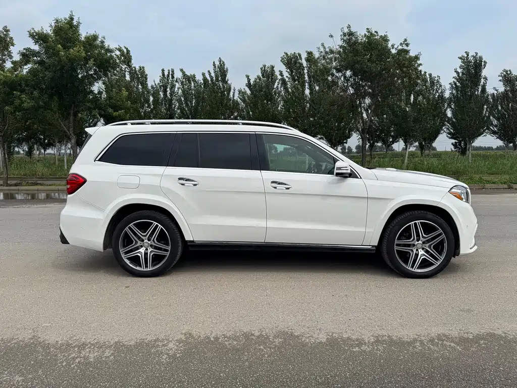 Mercedes-Benz GLS 2017 — фото 15