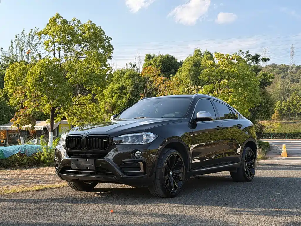 BMW X6 2018 — фото 1
