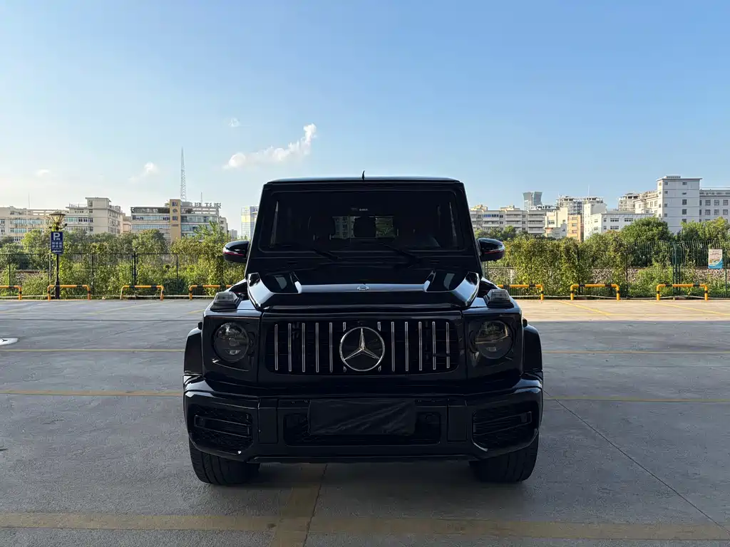 Mercedes-Benz G-Class 2018 — фото 3