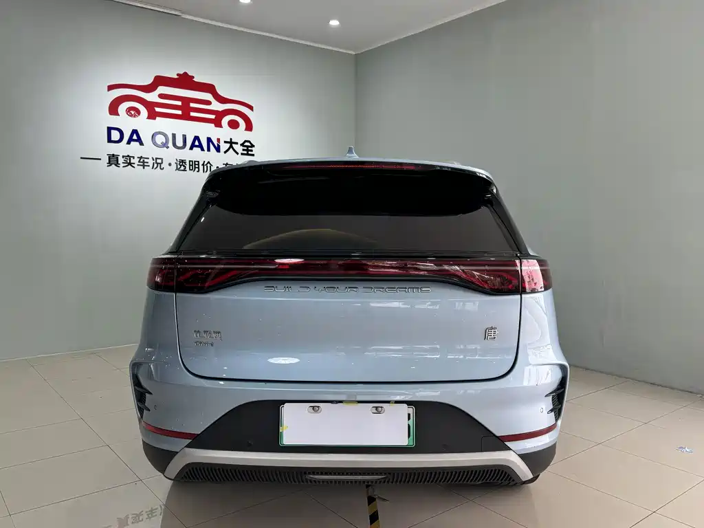 BYD Tang New Energy 2024 — фото 14
