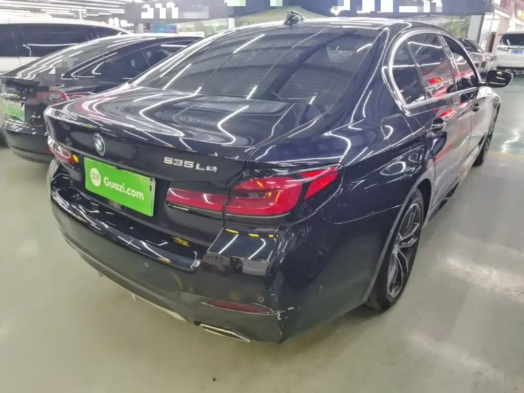 BMW 5 Series New Energy 2021