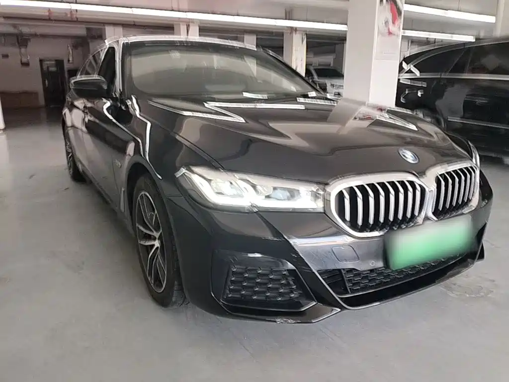 BMW 5 Series New Energy 2021