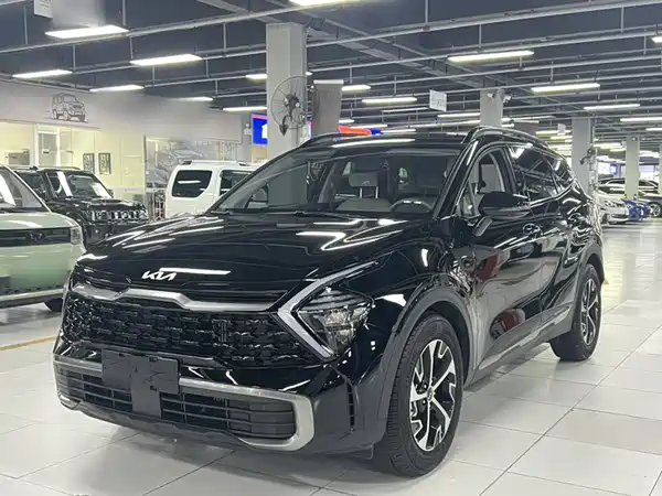 Kia Lion Platinum Expands The Boundary 2024