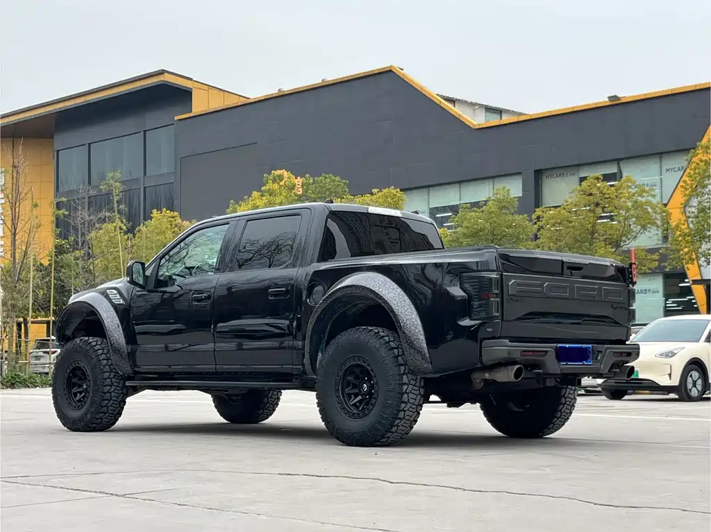 Ford F-150 Raptor 2020 — фото 21