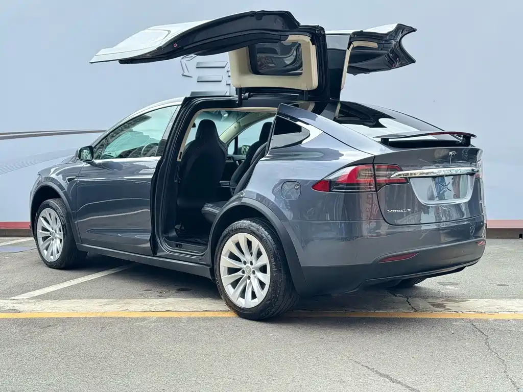 Tesla Model X 2019 — фото 8