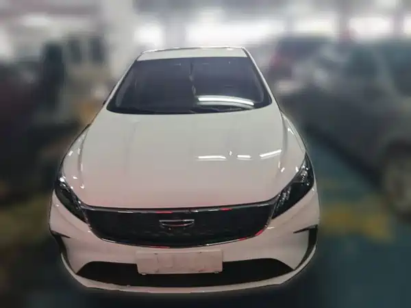 Geely Binrui 2022