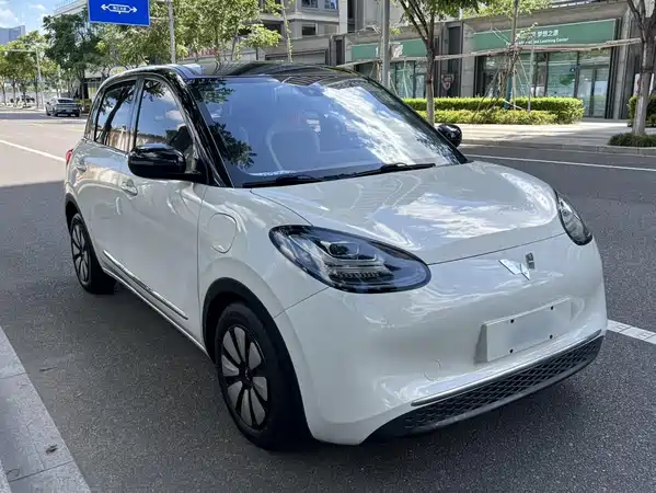 Wuling Bingo 2023