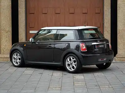 MINI MINI 2013