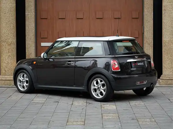 MINI 2013