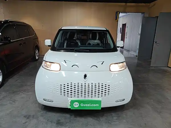 Ora White Cat 2020
