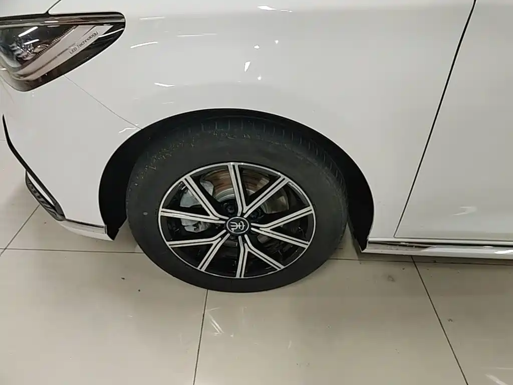 BYD Song MAX New Energy 2023 — фото 23
