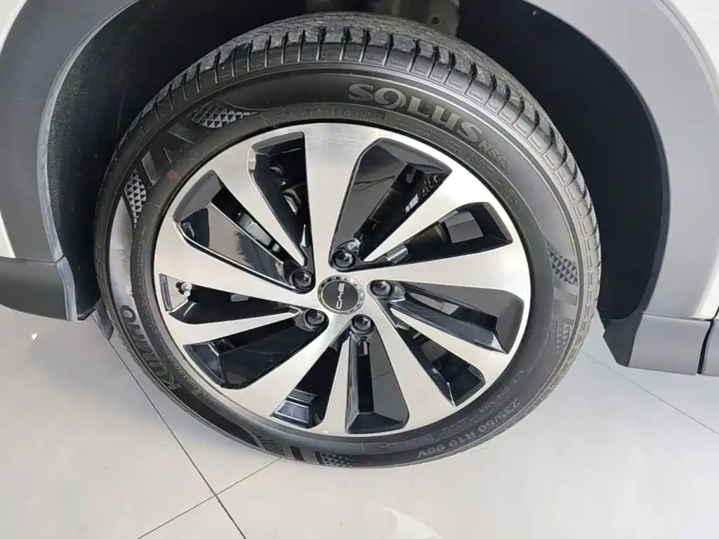 BYD Song PLUS New Energy 2024 — фото 23