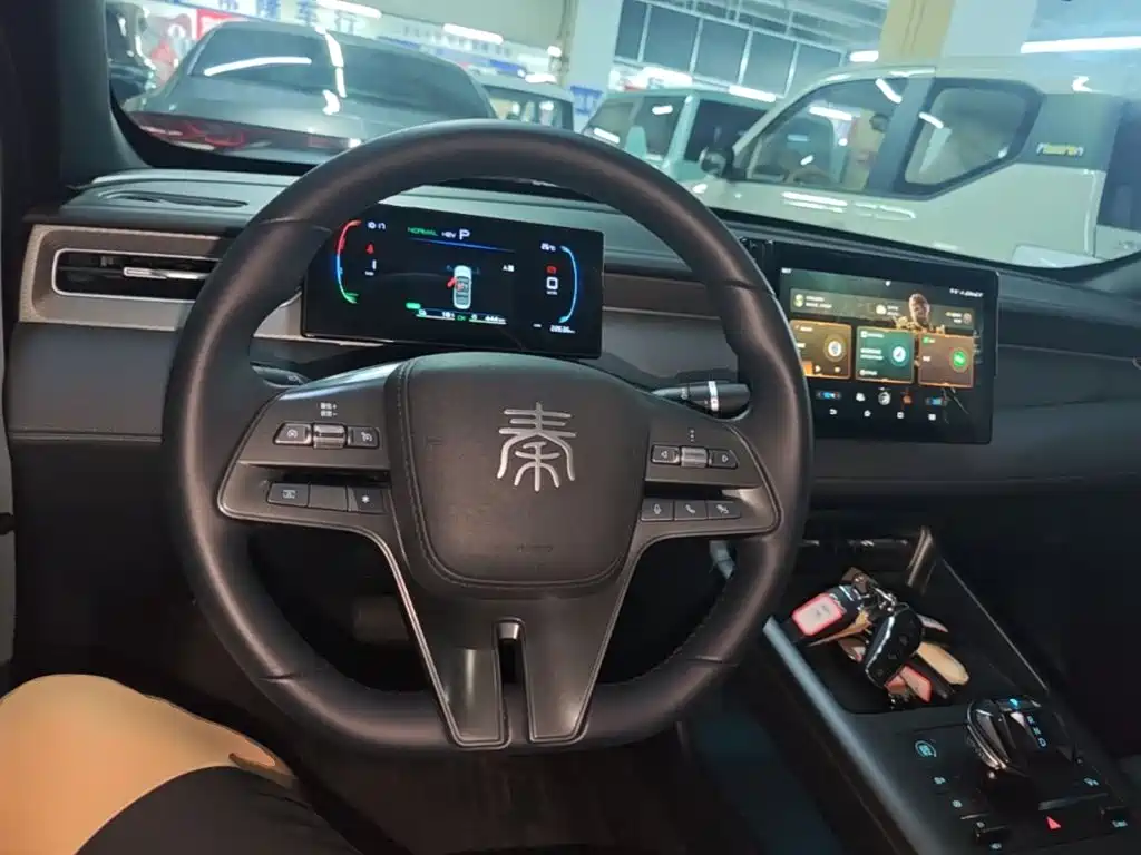 BYD Qin PLUS 2025 — фото 10