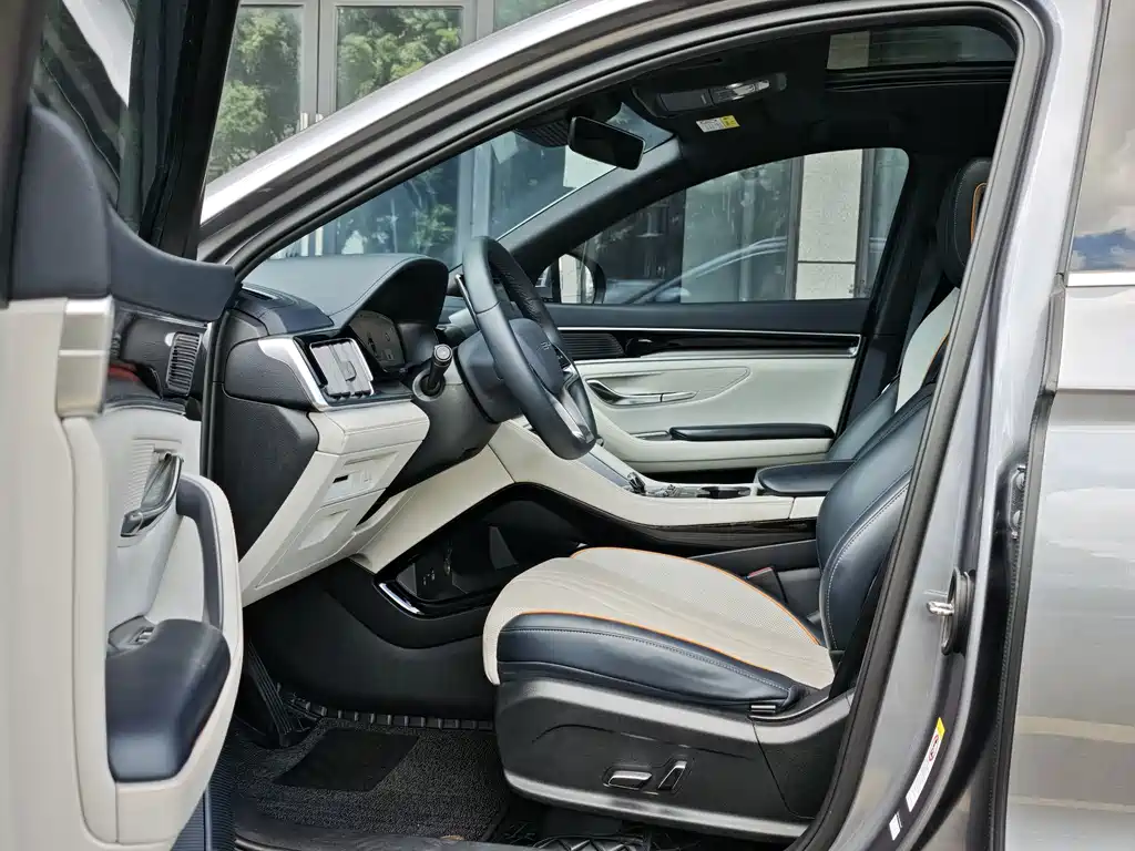 BYD Song PLUS New Energy 2024 — фото 4
