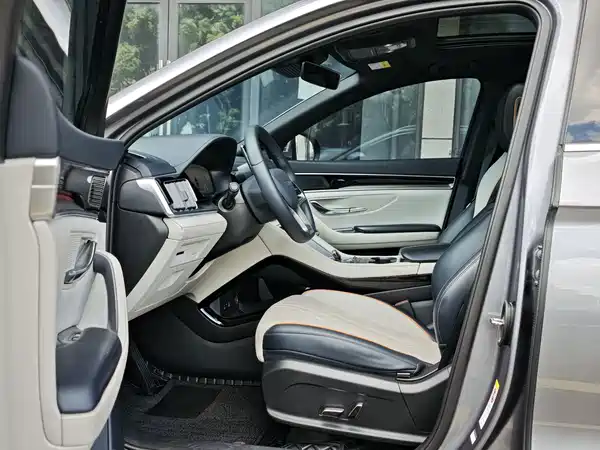 BYD Song PLUS New Energy 2024