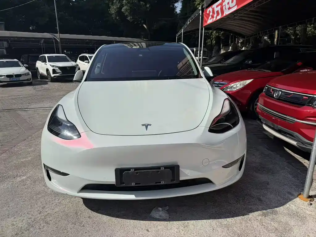 Tesla Model Y 2021 — фото 2