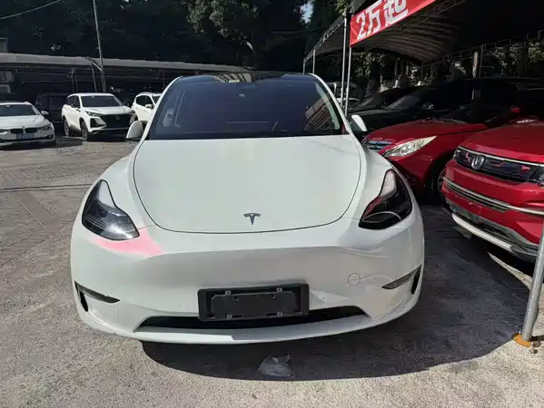 Tesla Model Y 2021