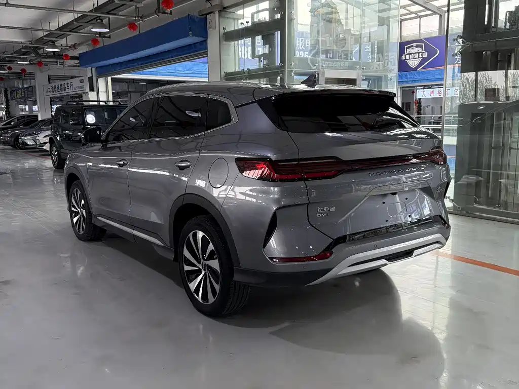BYD PLUS New Energy 2024 — фото 6