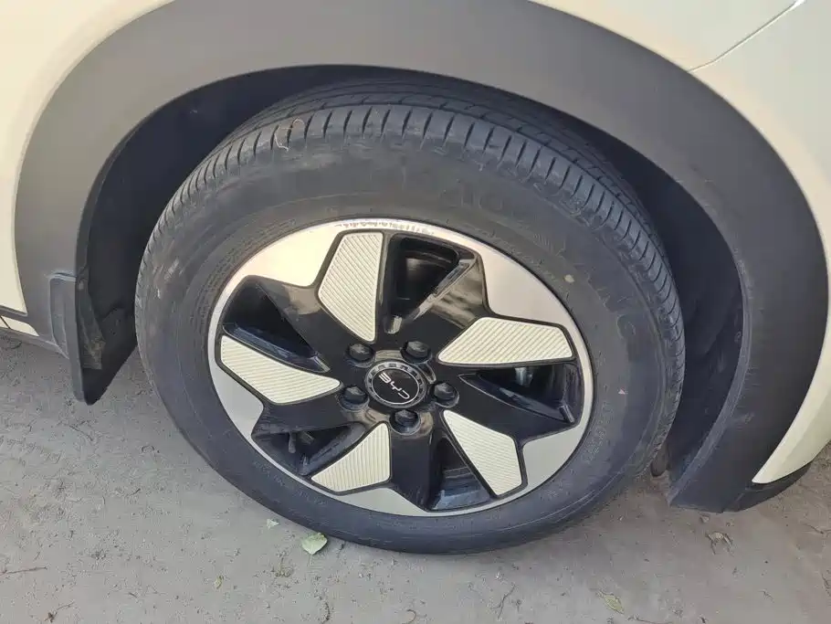 BYD Dolphin 2024