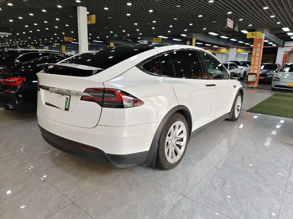 Tesla Model X 2020 — фото 3
