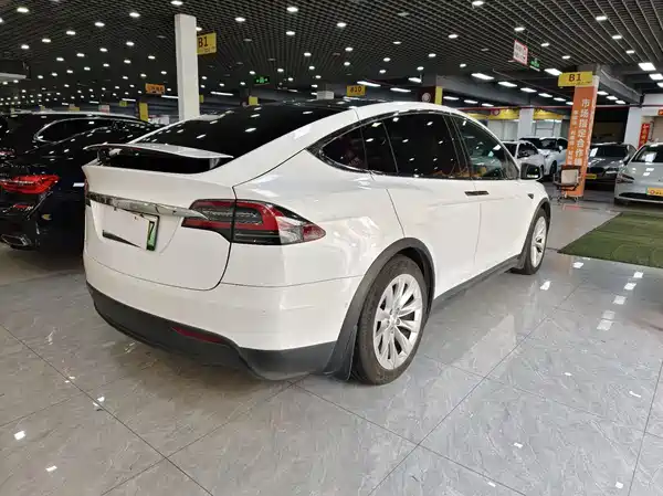 Tesla Model X 2020