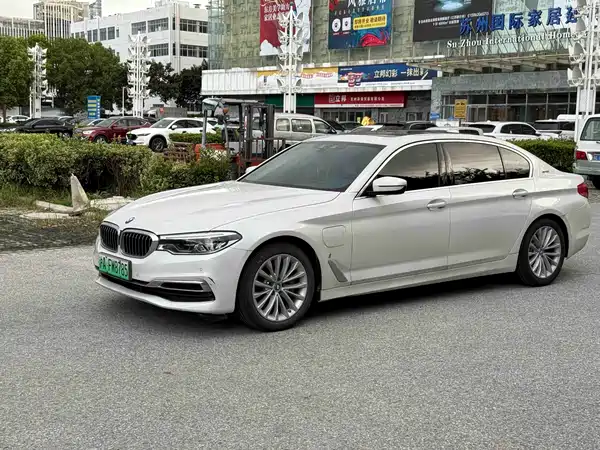 BMW 5 Series New Energy 2019