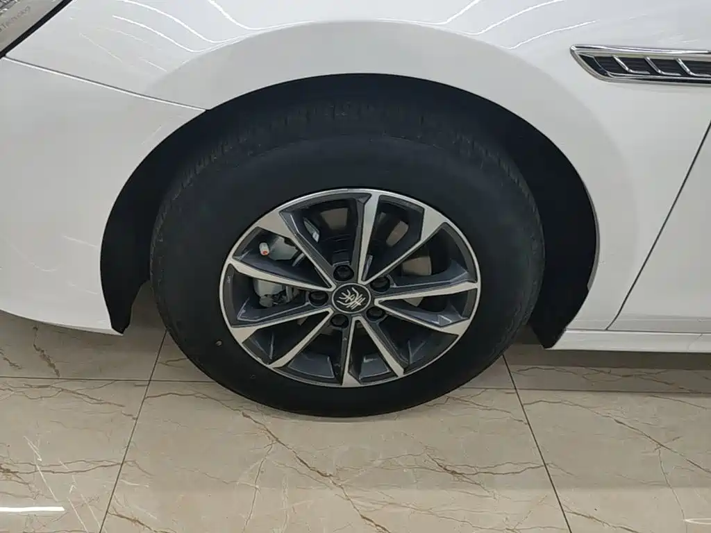 BYD Qin PLUS 2024 — фото 23