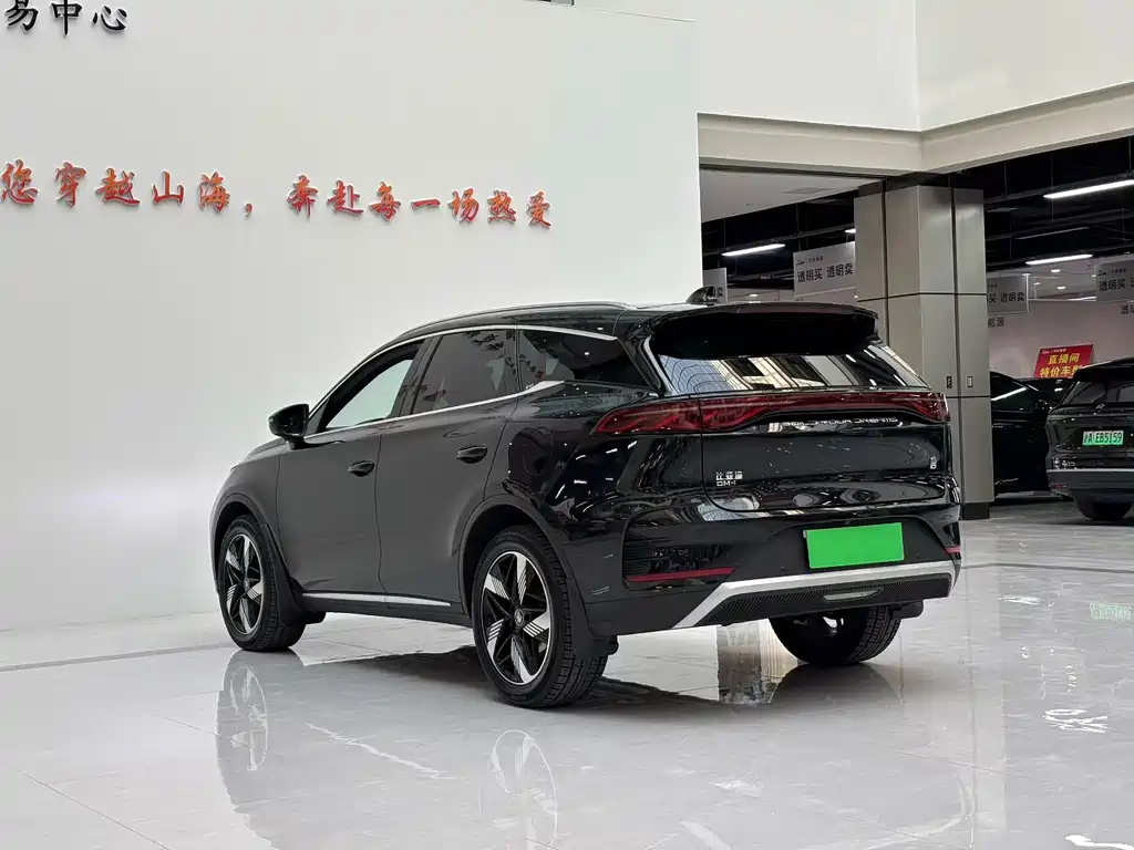 BYD Tang New Energy 2025 — фото 7