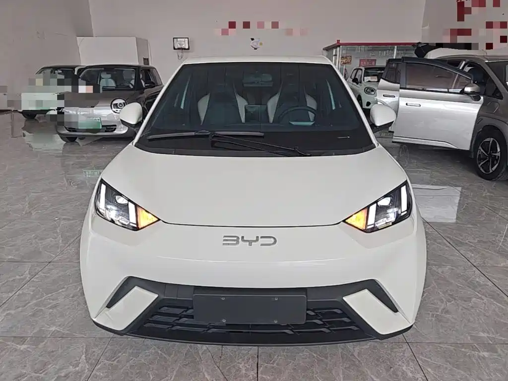 BYD Seagull 2024