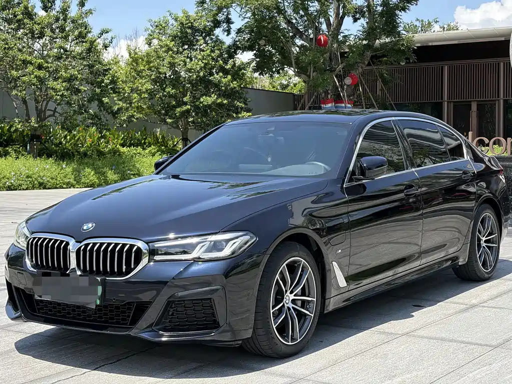 BMW 5 Series New Energy 2021 — фото 2