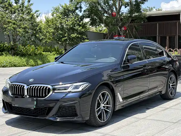 BMW 5 Series New Energy 2021
