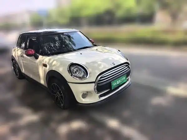MINI 2018