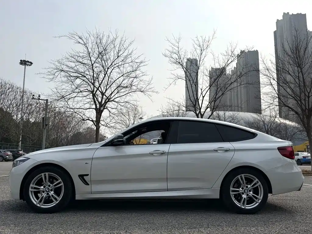 BMW 3 Series GT 2019 — фото 16