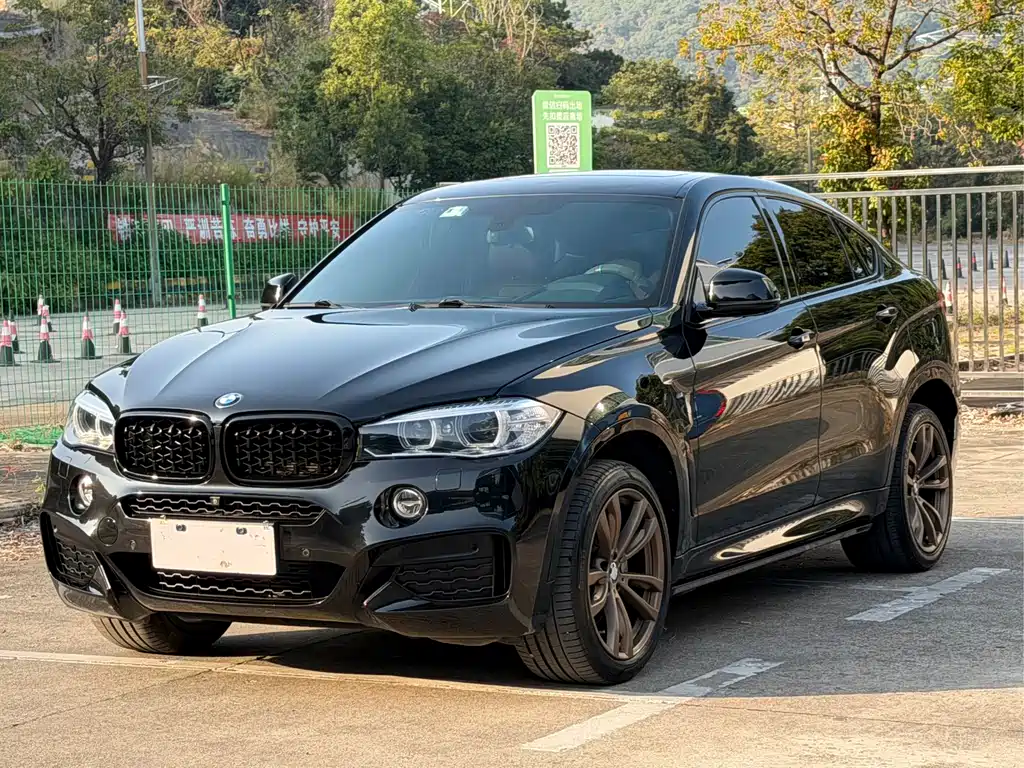 BMW X6 2019 — фото 1