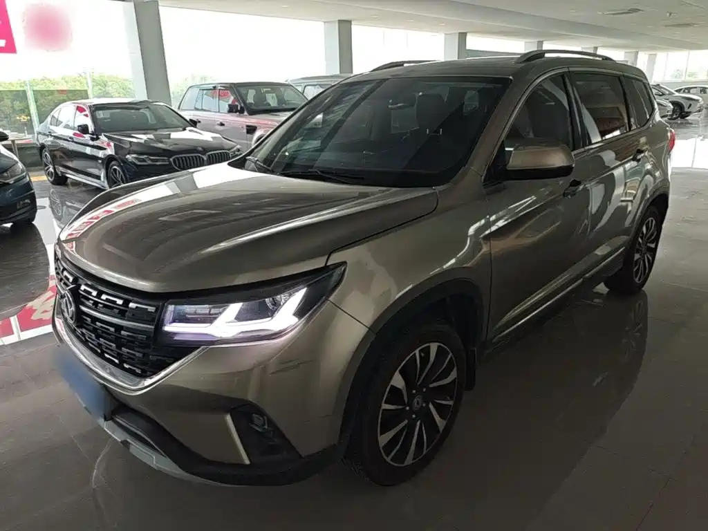 Fengxing T5 2019