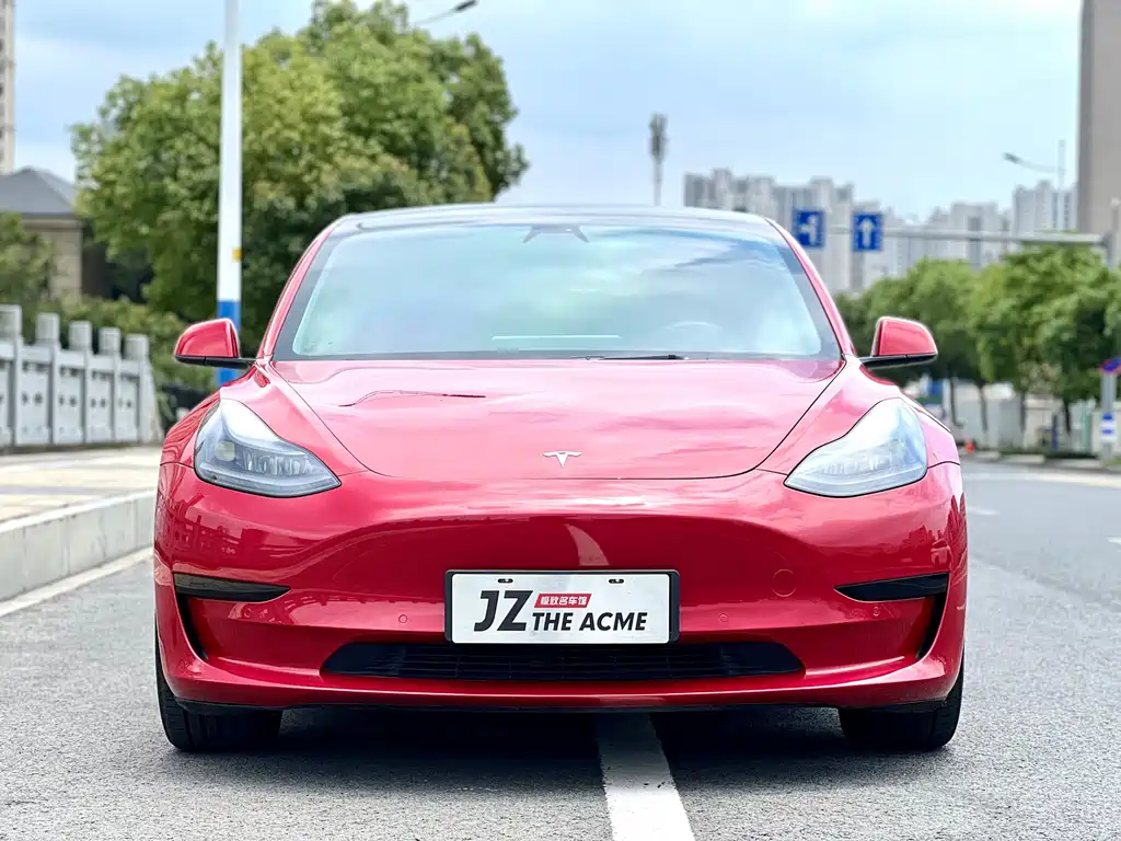 Tesla Model 3 2021 — фото 2