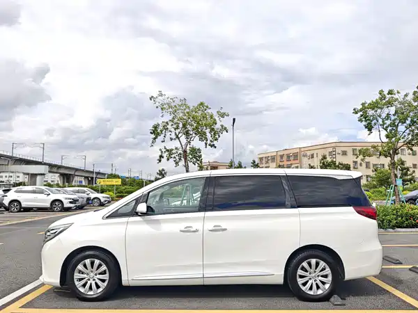 GAC Trumpchi M8 2019